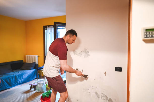 Professional Mold Removal in Highland Lakes, AL